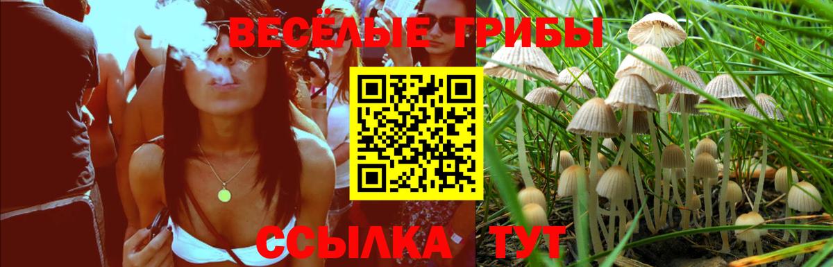 Иваново  Псилоцибиновые грибы Psilocybe  Вход с VPN 